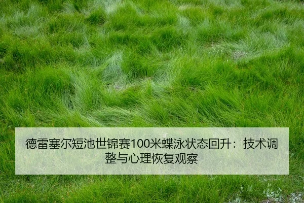 de-lei-sai-er-duan-chi-shi-jin-sai-mi-die-yong-zhuang-tai-hui-sheng-ji-shu-tiao-zheng-yu-xin-li-hui-fu-guan-cha-3-338.jpg
